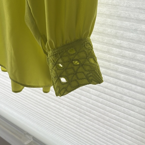 Gorgeous Grace Elements Sheer Lime Green Blouse - Picture 4 of 6